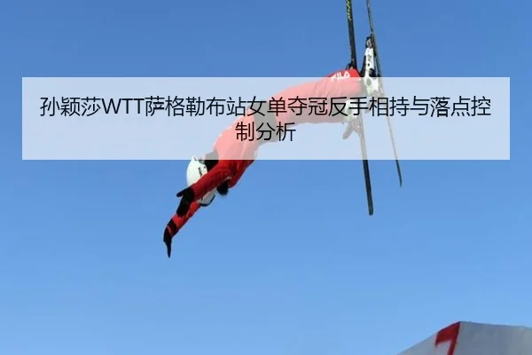 sun-ying-sha-sa-ge-lei-bu-zhan-nv-dan-duo-guan-fan-shou-xiang-chi-yu-luo-dian-kong-zhi-fen-xi-2-581.jpg