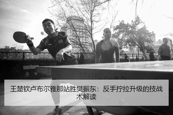 wang-chu-qin-lu-bu-er-ya-na-zhan-sheng-fan-zhen-dong-fan-shou-ning-la-sheng-ji-de-ji-zhan-shu-jie-du-2-809.jpg